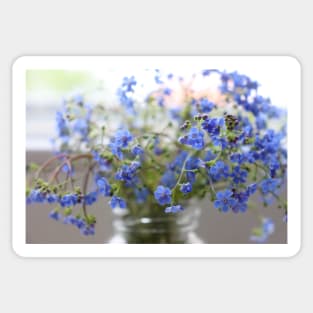 Flower Forget me not up close Sticker